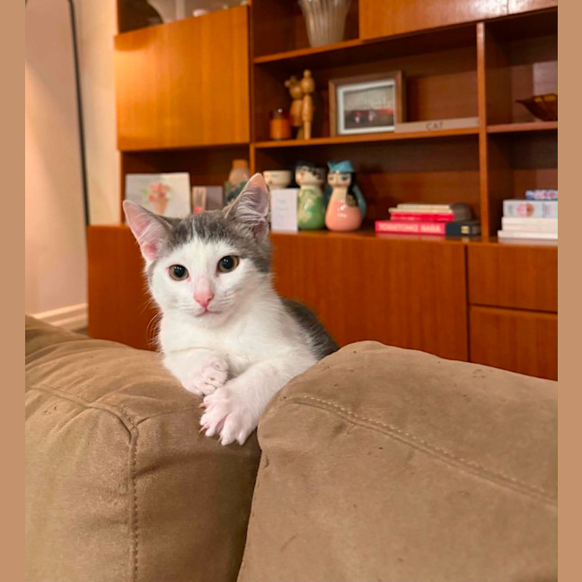 Photo of Bix 