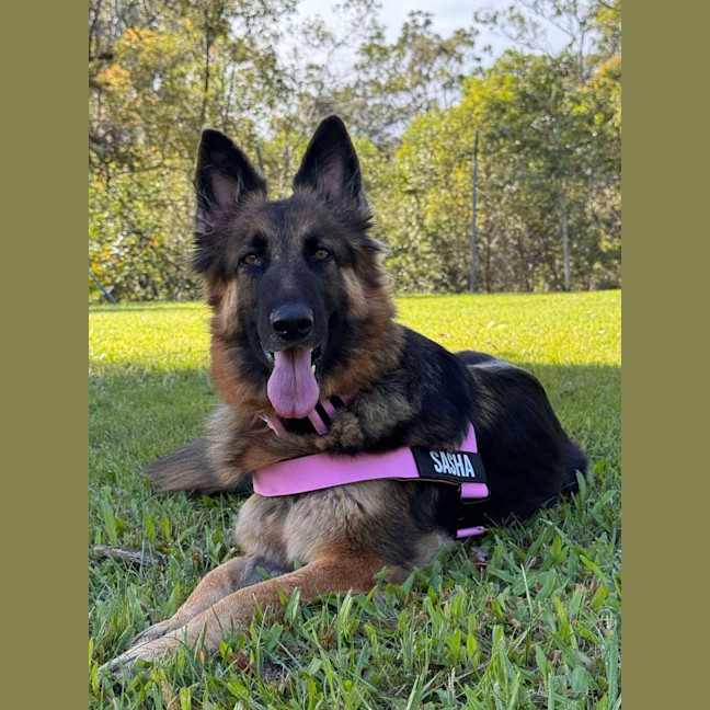 Photo of Sasha