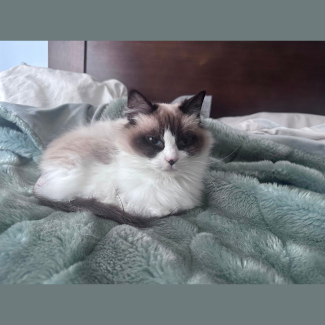 Photo of Clara 