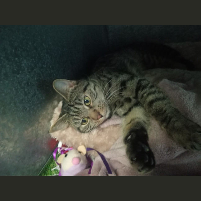 Photo of Tabitha
