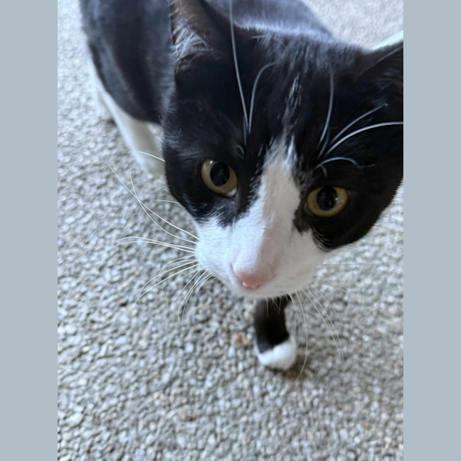 Photo of Pishi & Maloos