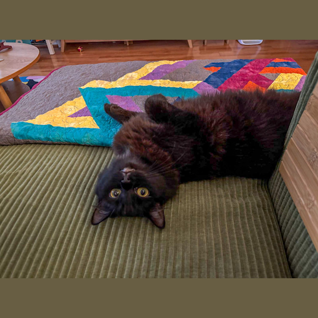 Photo of Sabrina