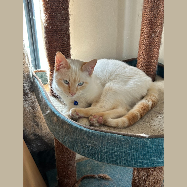 Photo of Otis
