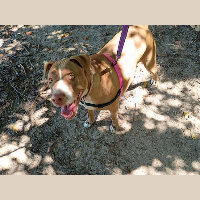 Photo of Xena