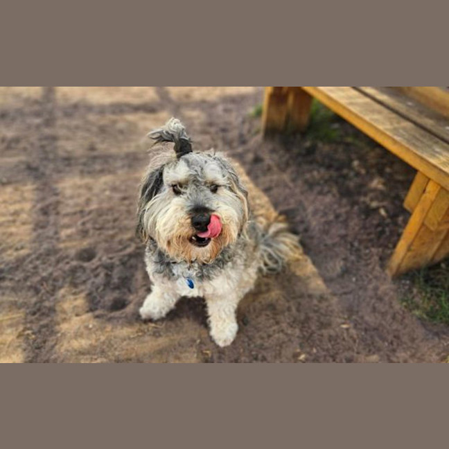Photo of Bertie