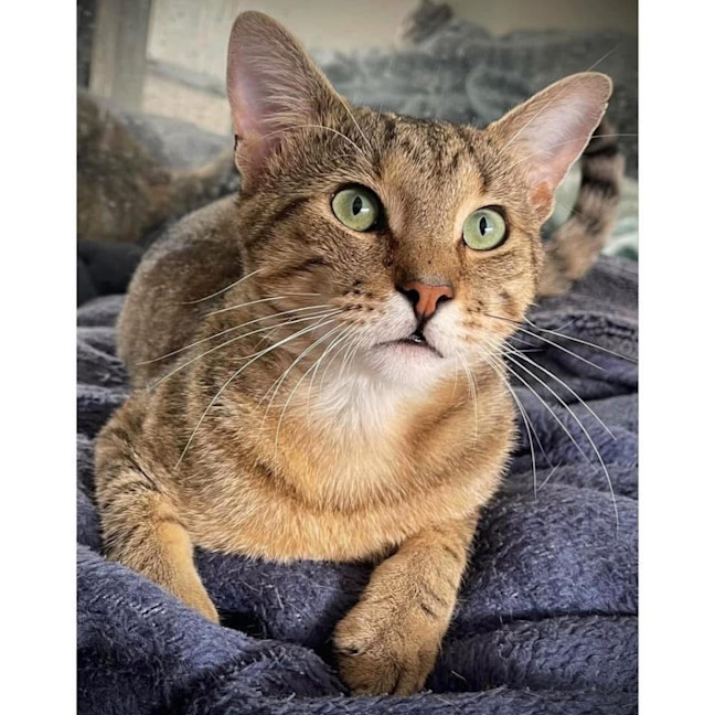 Photo of 11743   Lucky