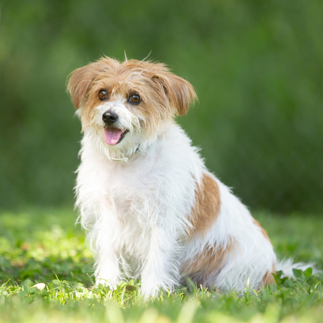 Photo of Heidi