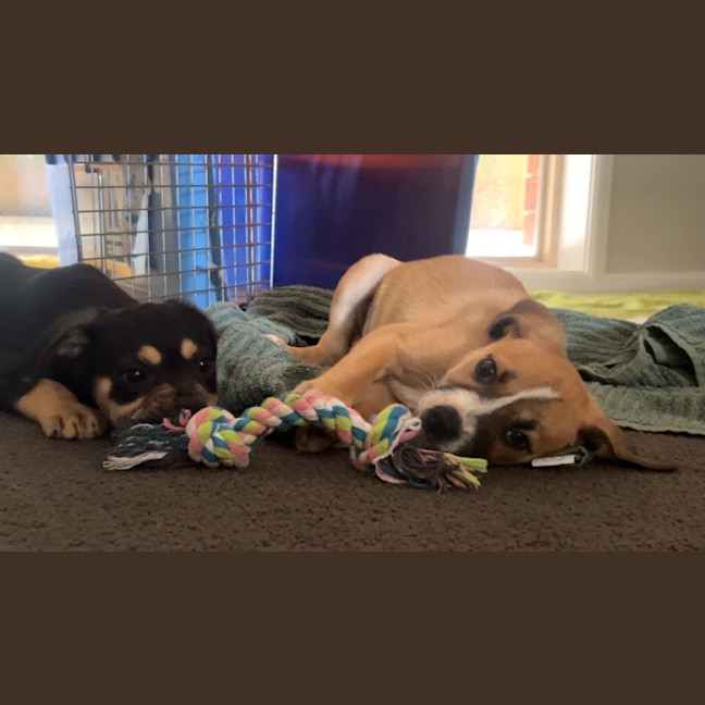 Photo of Boa Hancock