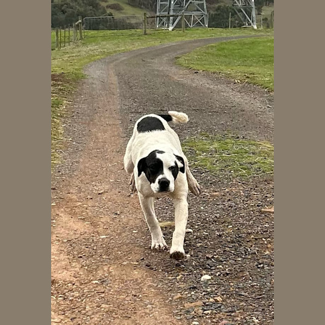 Photo of Ramona