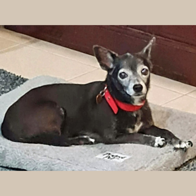 Photo of Minnie
