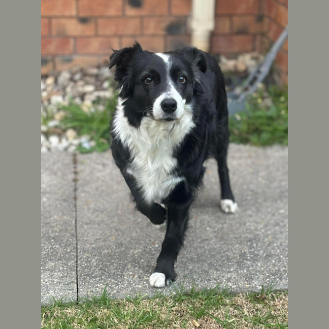 Photo of Lady Coco 