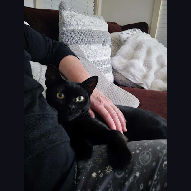 Photo of Nova