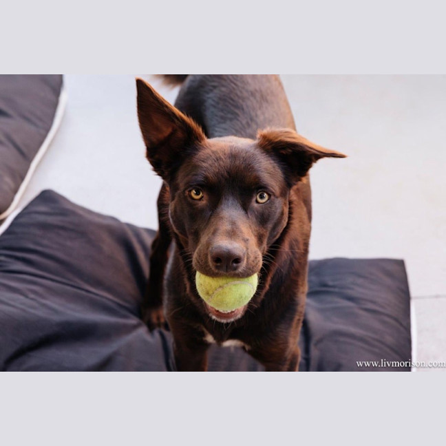 Photo of Milo Haliwell