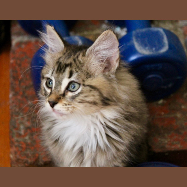Photo of Boo