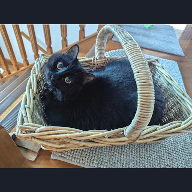 Photo of Fisher