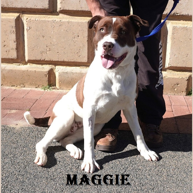 Photo of Maggie