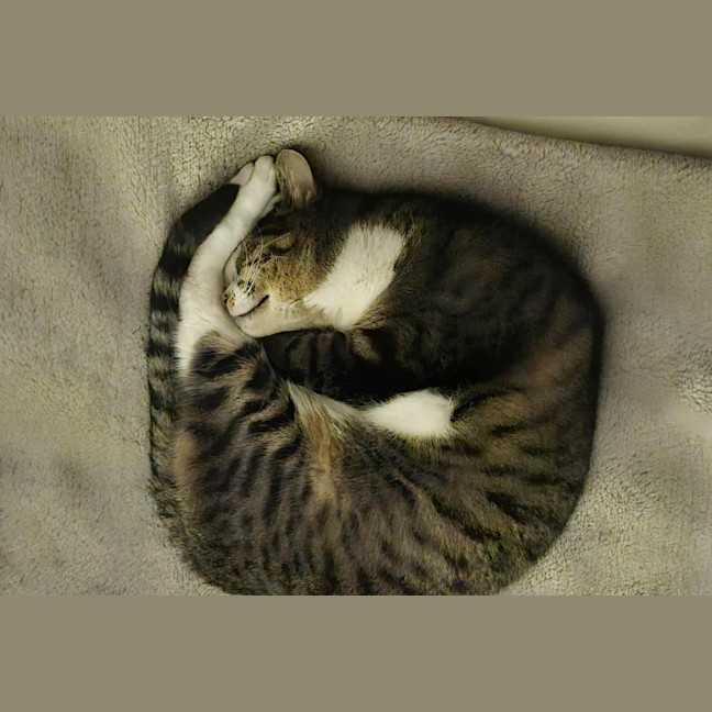 Photo of Jelly
