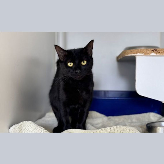 Photo of Luna
