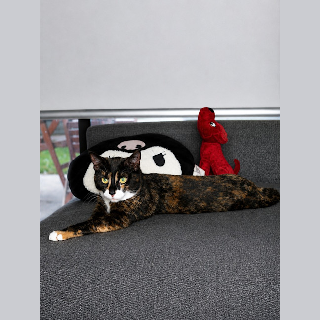 Photo of Smudges