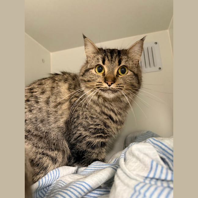 Photo of Princess