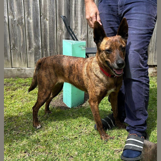 Photo of Swiftee Haliwell