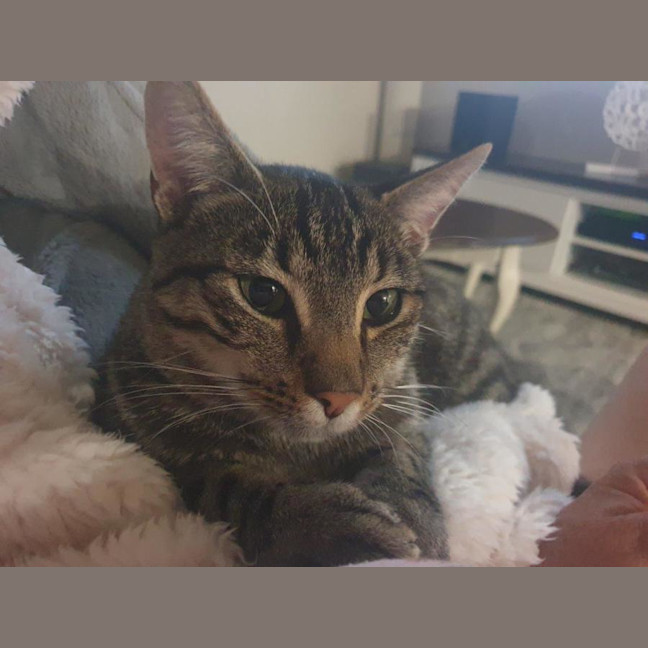 Photo of Willy Moriarty