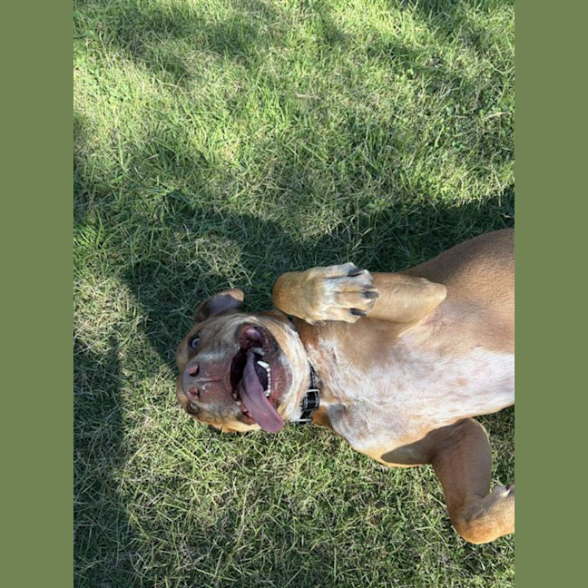 Photo of Bobby