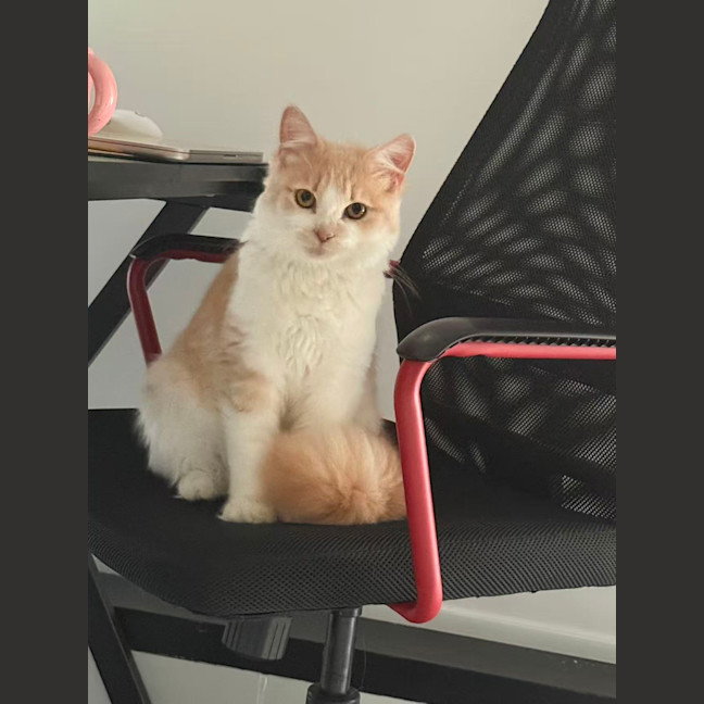 Photo of Elsie