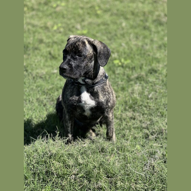 Photo of Lucy