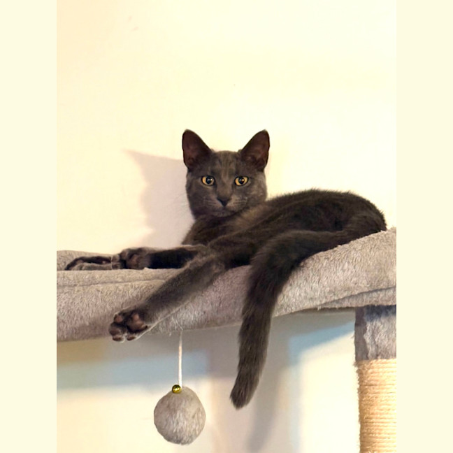 Photo of Tony