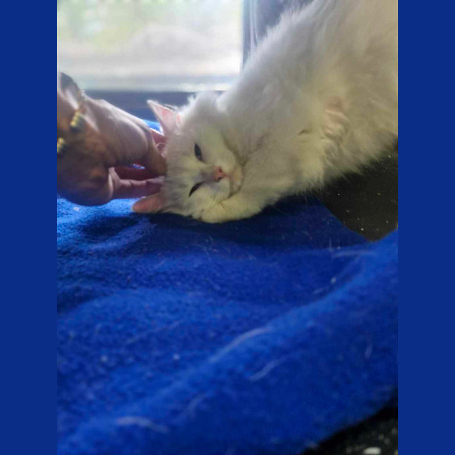 Photo of Grandpa Max