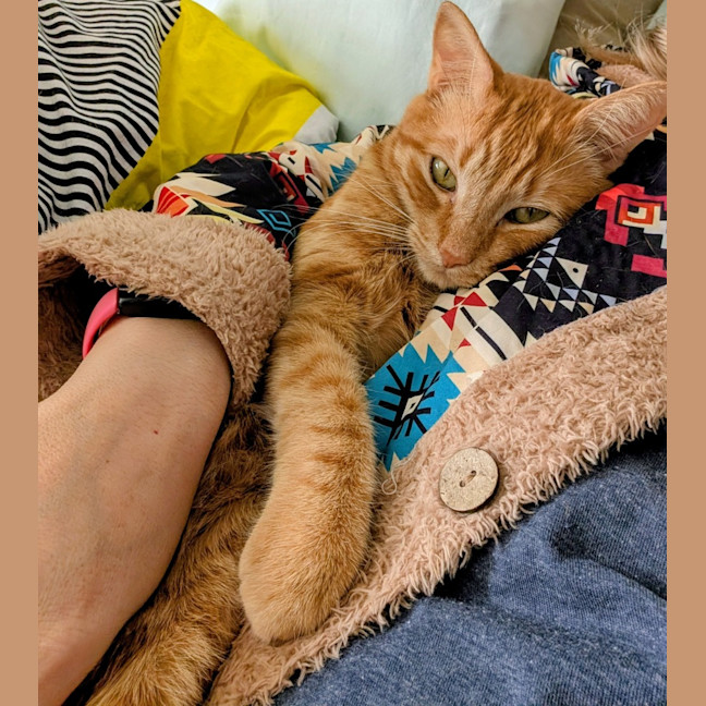 Photo of Toby