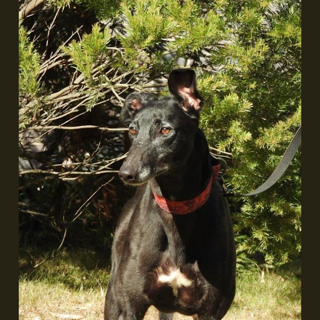 Photo of Heidi