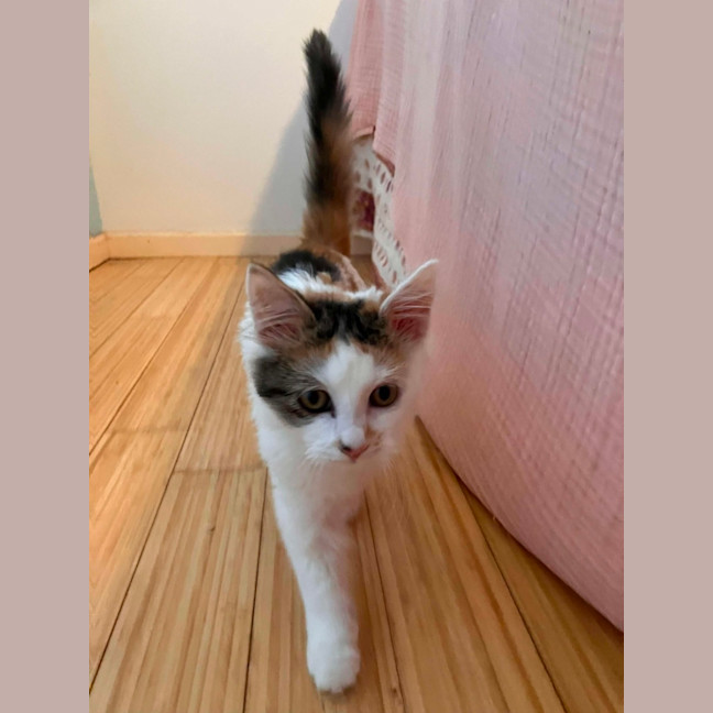 Photo of Winnie