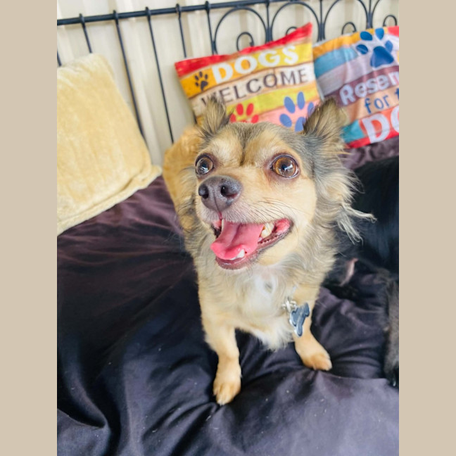 Photo of Lola