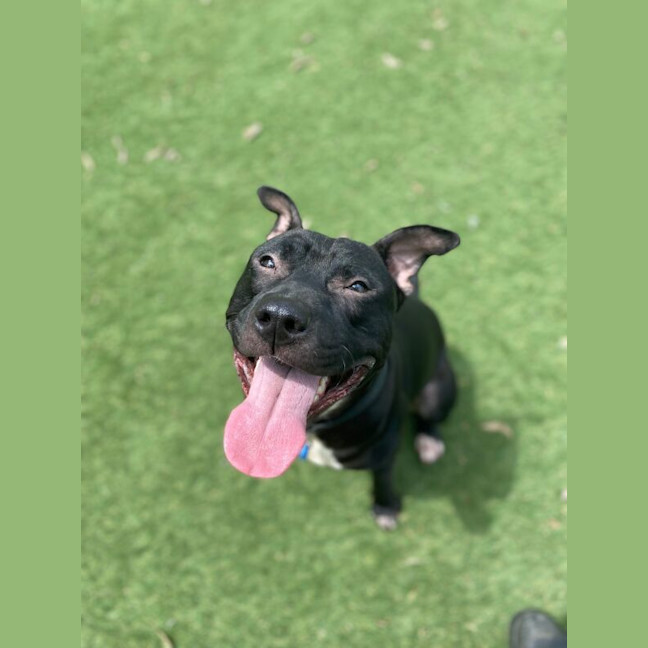Photo of Peetie