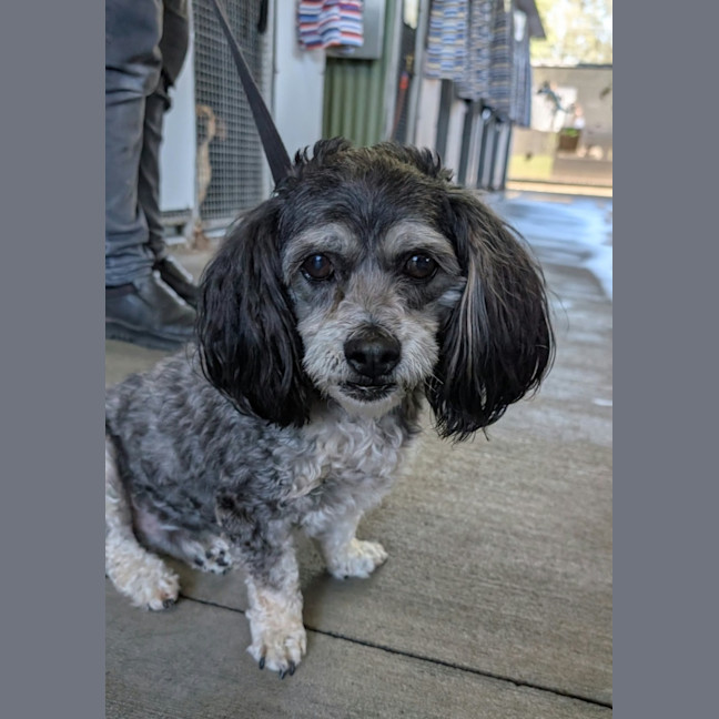 Photo of Max