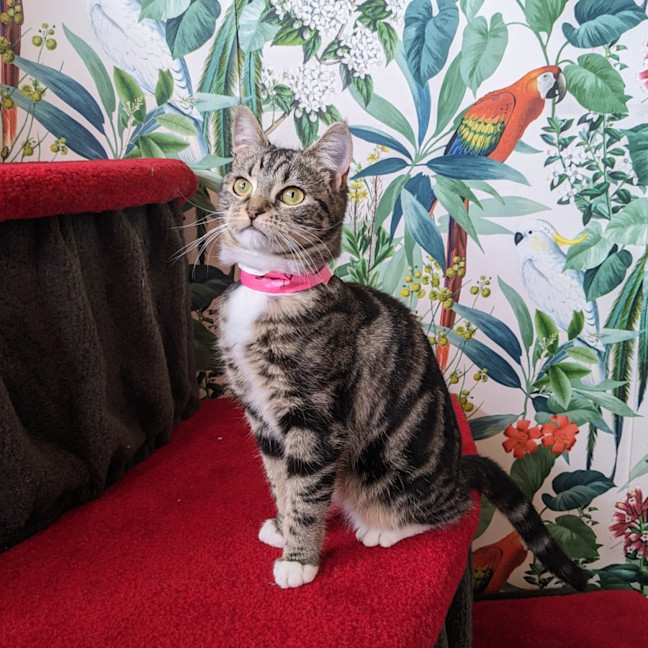 Photo of Taylor   Located In Preston