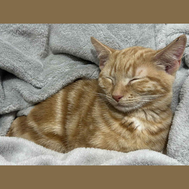 Photo of Rupert
