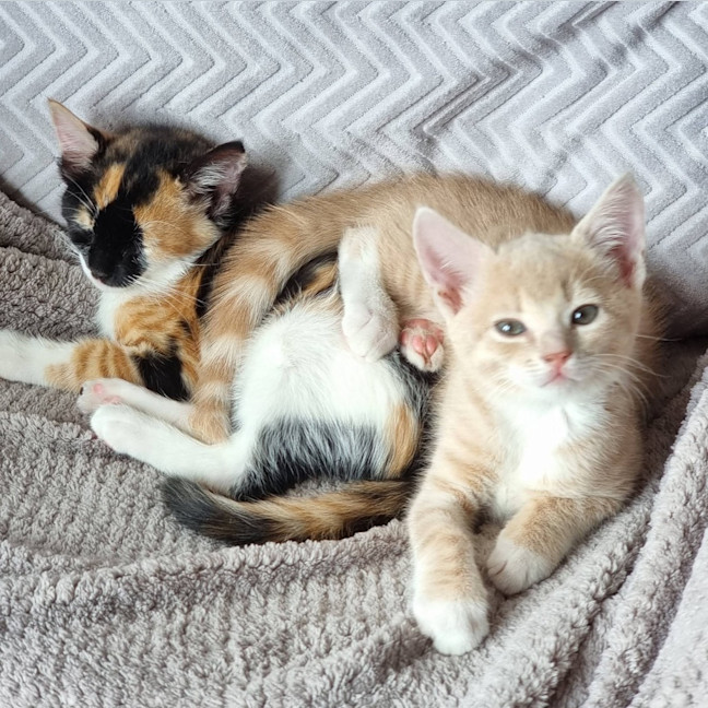 Photo of Lenny Baker