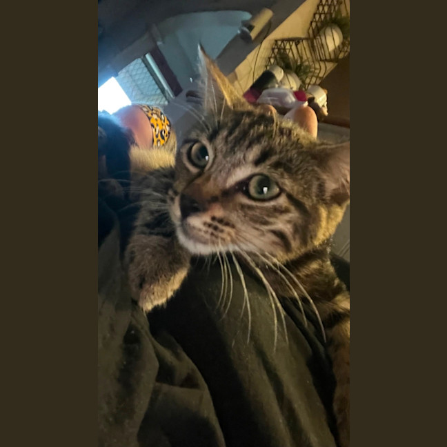 Photo of Ned & Clyde