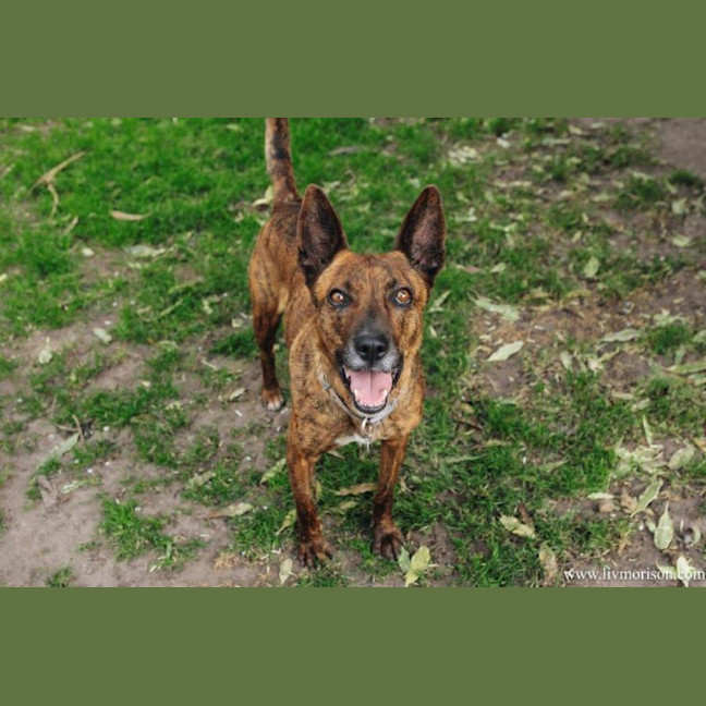 Photo of Swiftee Haliwell