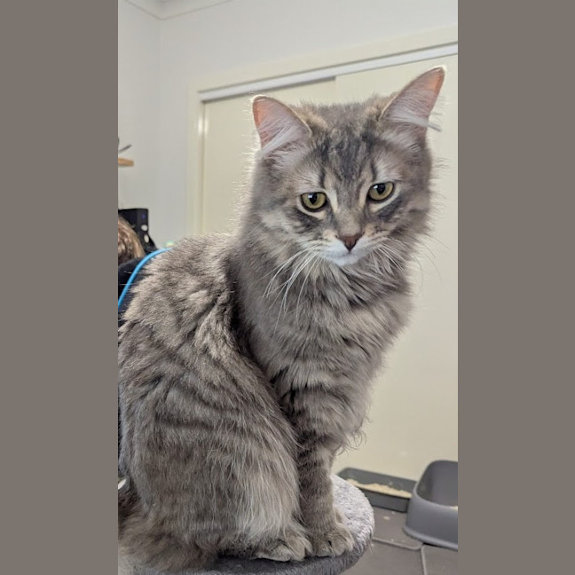 Photo of Wax & Wayne