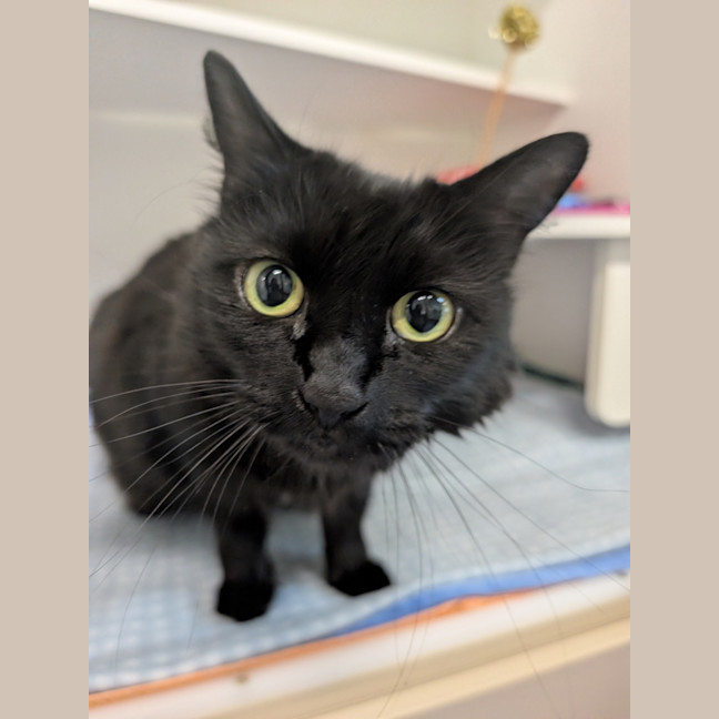Photo of Babs (Missy)