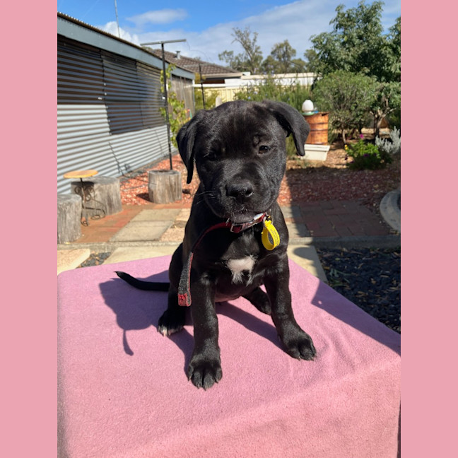 Photo of Hallie
