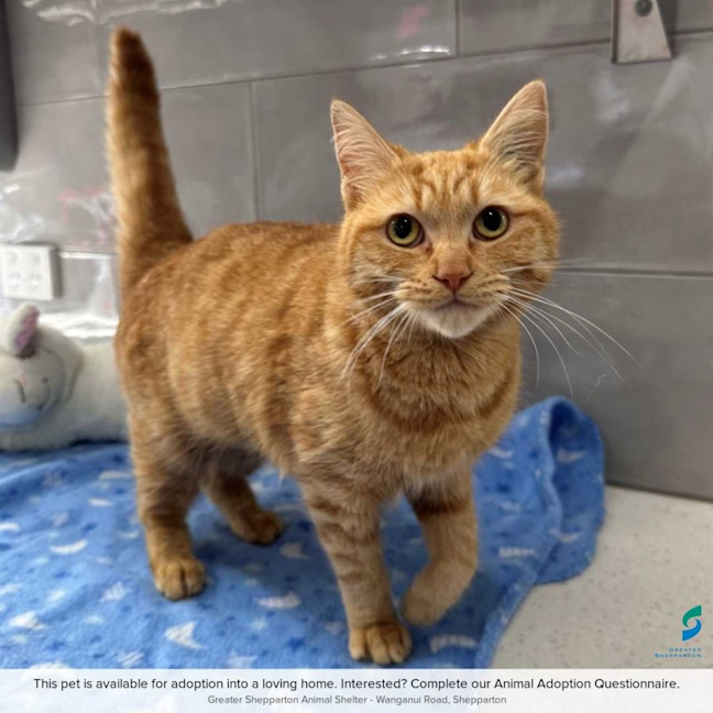 Photo of Chatty Kathy