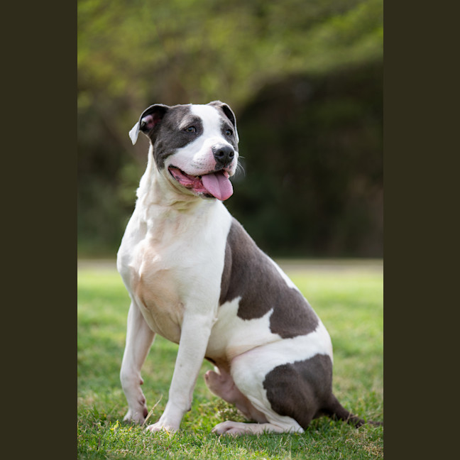 Photo of Zeus