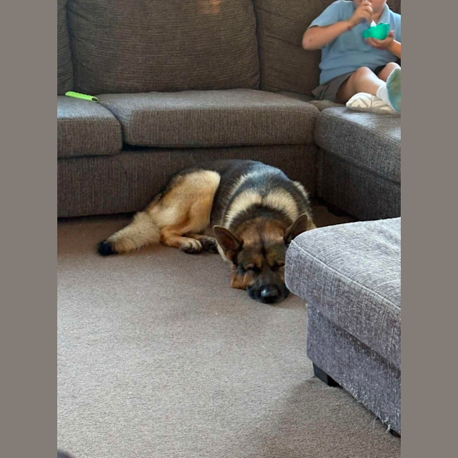 Photo of Rexar