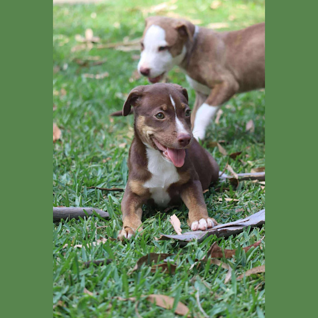 Photo of Hazel