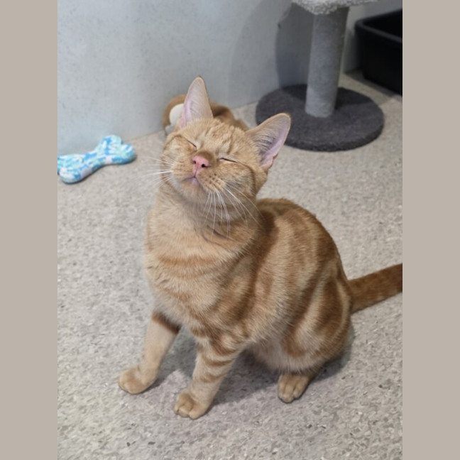 Photo of Fury